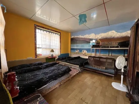 Classic Ortak Ranzalı Oda, Karma Ranzalı Oda, Bahçe Manzaralı (Bed in 6-Bed)