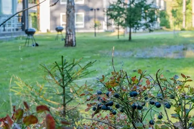 Premium Apart Daire, 3 Yatak Odası, Mutfak, Bahçeli