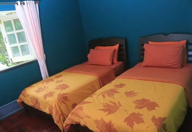 Deluxe İki Ayrı Yataklı Oda