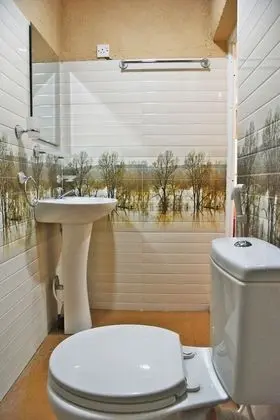 Deluxe Tek Büyük Yataklı Oda, 1 Büyük (Queen) Boy Yatak