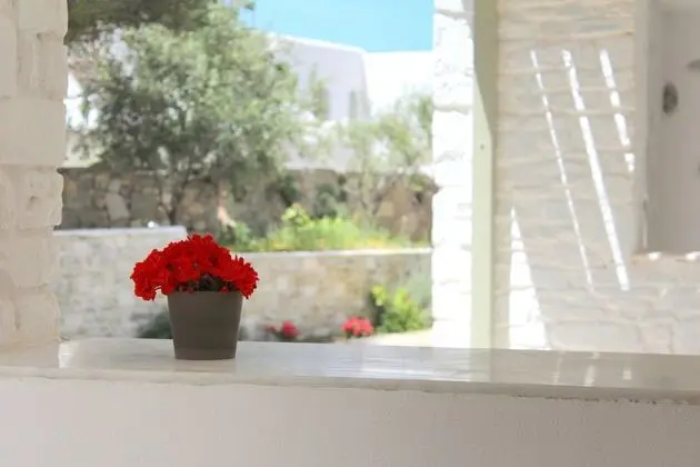 Junior Stüdyo Süit, Bahçe Manzaralı