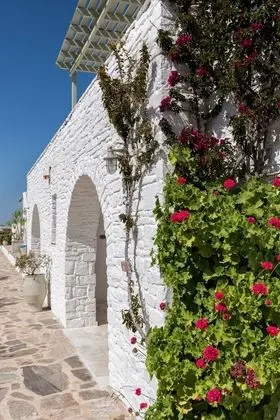 Standard Oda, Bahçe Manzaralı, Zemin Kat