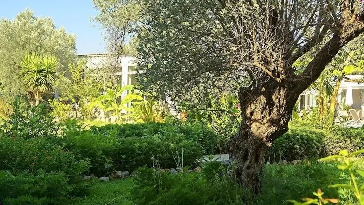 Tek Kişilik Oda