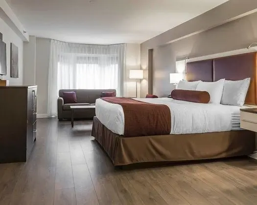 Standard Room, 1 King Bed with Sofabed, Non Smoking