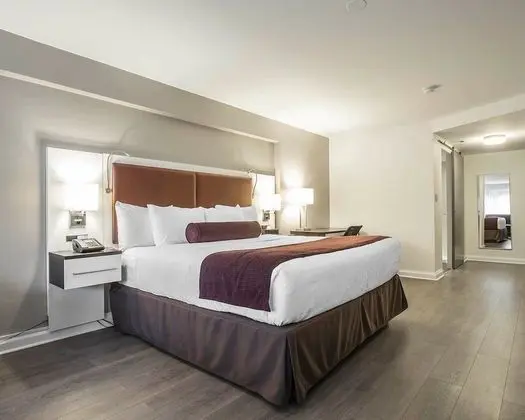 Standard Room, 1 King Bed with Sofabed, Non Smoking