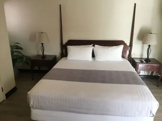 Standard Oda, 1 En Büyük (King) Boy Yatak, Okyanus Manzaralı ((7JB) Shared balcony)