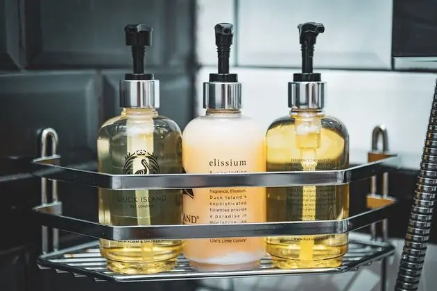 Deluxe Tek Büyük Yataklı Oda, 1 Çift Kişilik Yatak, Park Manzaralı