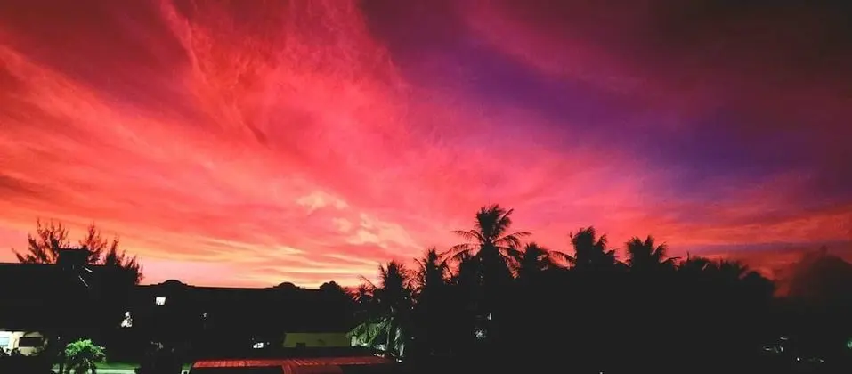 Standard Oda, 1 Büyük (Queen) Boy Yatak, Bahçe Manzaralı