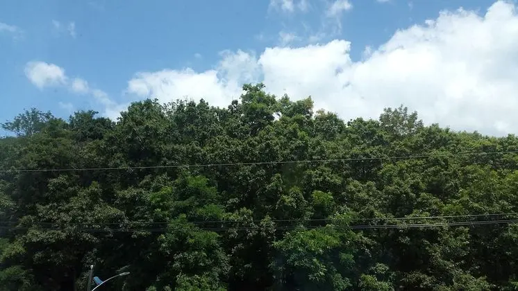 Oda, Dağ Manzaralı