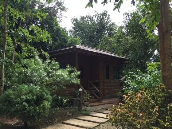 Ev (Log House)