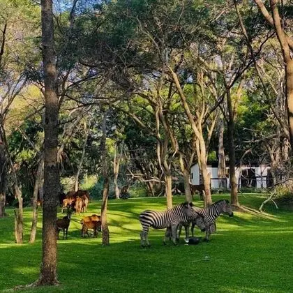 Luxury Oda, 1 En Büyük (King) Boy Yatak, Resort Manzaralı