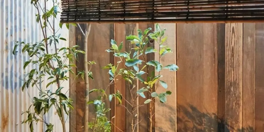 Traditional Oda, Ek Bina (Japanese Style)