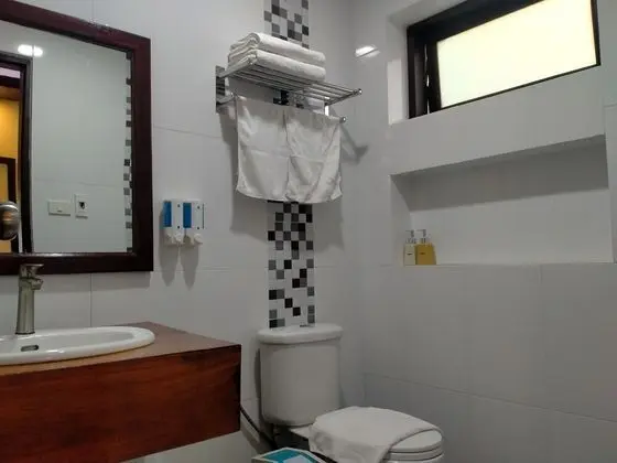 Superior Tek Büyük Yataklı Oda