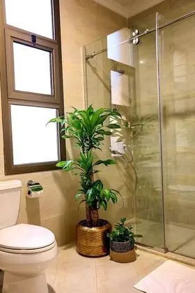 Premium Villa, 3 Yatak Odası