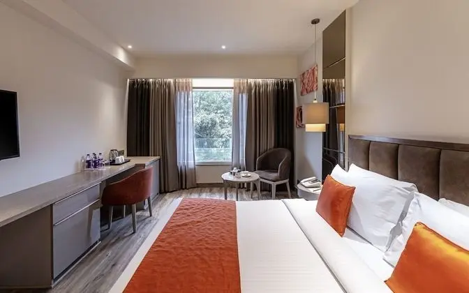 Deluxe Oda, Şehir Manzaralı