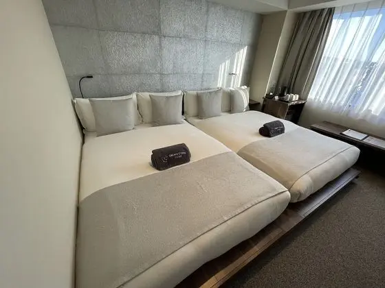 Superior Oda, 2 Çift Kişilik Yatak, Sigara İçilmez (Max 4 Comfort 2)