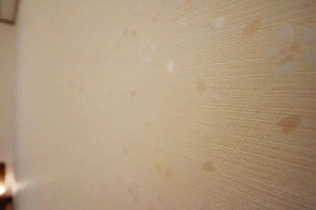 Basic Ev, 2 Yatak Odası, Sigara İçilmez