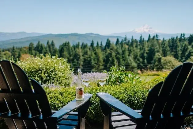 Luxury Tek Kişilik Oda, 1 En Büyük (King) Boy Yatak, Küvet, Dağ Manzaralı