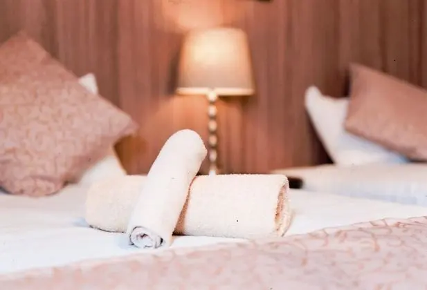 Deluxe İki Ayrı Yataklı Oda, Sigara İçilmez