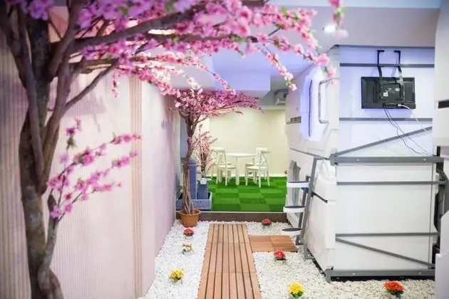 Space Capsule