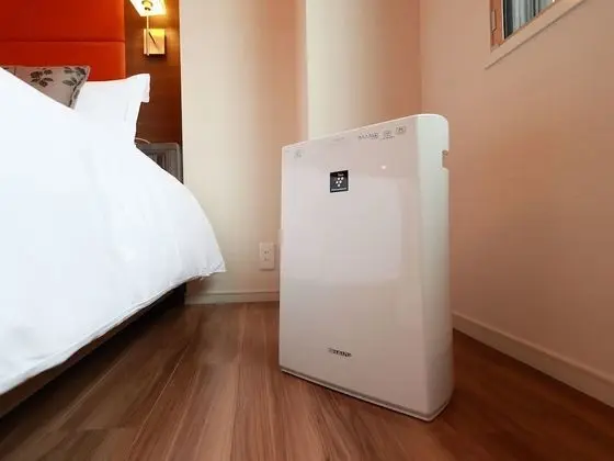 Deluxe İki Ayrı Yataklı Oda, Sigara İçilmez