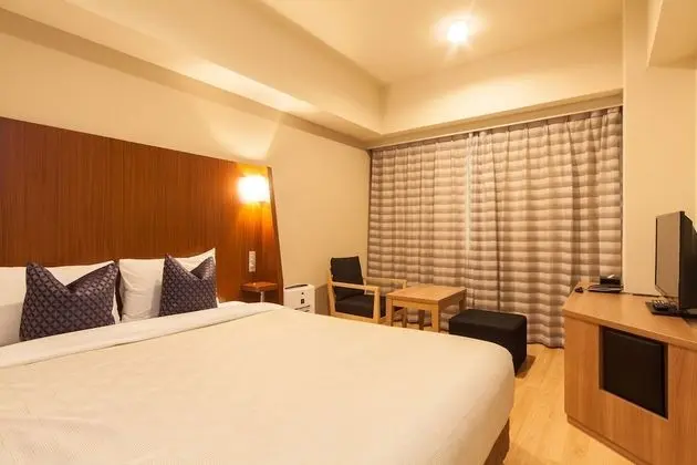 Standard Tek Büyük Yataklı Oda, Sigara İçilmez (NO group booking/ more than 2 rooms)