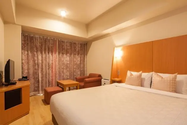 Superior Tek Büyük Yataklı Oda, Sigara İçilmez, Balkon (NO group booking/ more than 2 rooms)