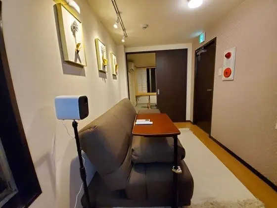 Deluxe Süit (Japanese Style)