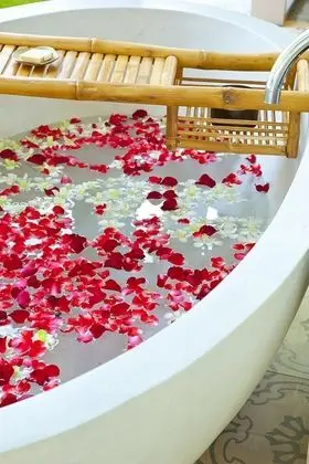 Villa (Garden Pool Villa)