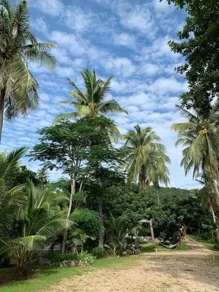 SalaCoco Villa 2