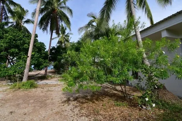 SalaCoco Family Room