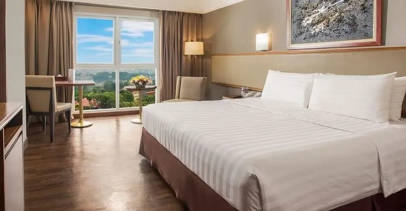 Deluxe Tek Büyük Yataklı Oda