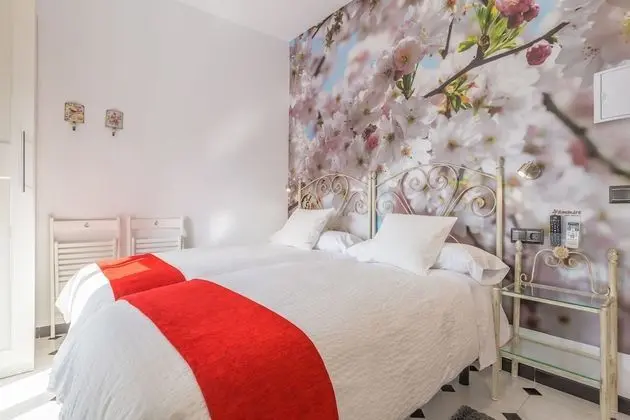 Superior İki Ayrı Yataklı Oda, Şehir Manzaralı (El Lucero)