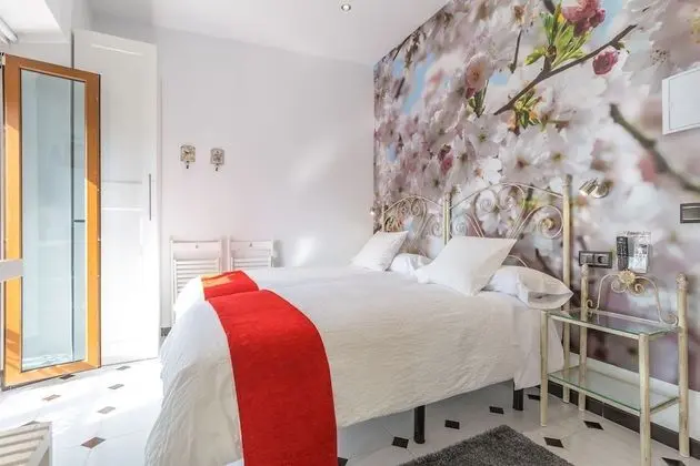 Superior İki Ayrı Yataklı Oda, Şehir Manzaralı (El Lucero)