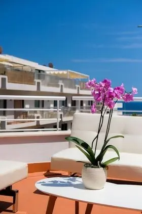 Çatı Katı Süiti (Penthouse), 2 Yatak Odası, Teras