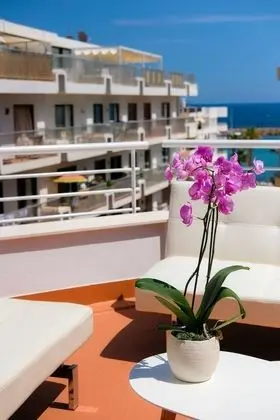 Çatı Katı Süiti (Penthouse), 2 Yatak Odası, Teras