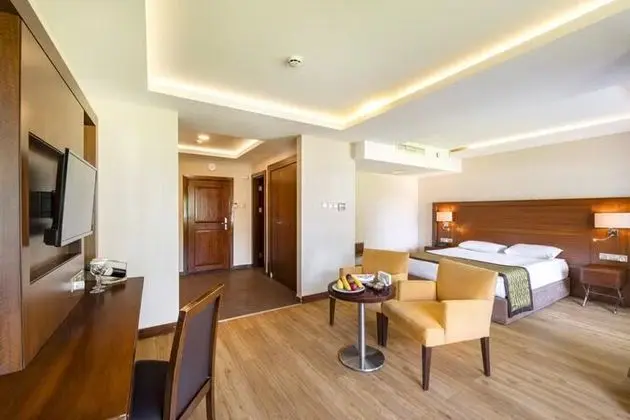 Junior Villa Room