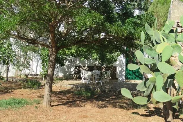 Ev, 1 Yatak Odası (Casa Colonica)