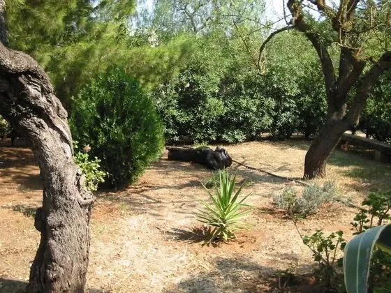 Ev, 1 Yatak Odası (Casa Colonica)