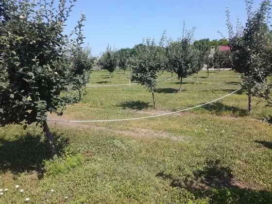 Luxury Üç Kişilik Oda, Bahçe Manzaralı