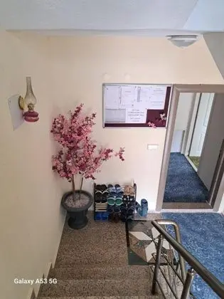Üç Kişilik Oda, Manzarasız, Cam Tavanlı