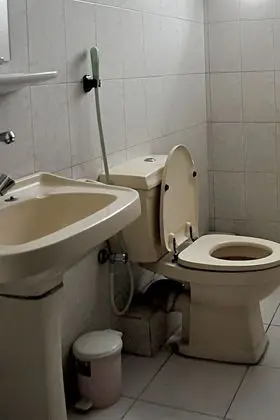 Deluxe İki Ayrı Yataklı Oda, Sigara İçilebilir