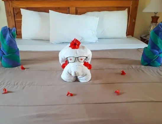 Deluxe Bungalov, Bahçe Manzaralı