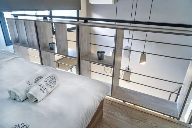 Design Çatı Katı (Loft)