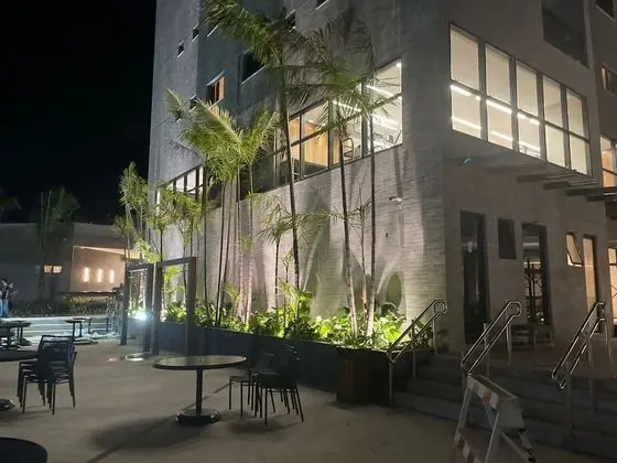 Basic Çatı Katı (Loft)