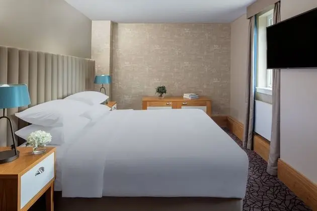 Deluxe Tek Büyük Yataklı Oda, Banyolu/Duşlu