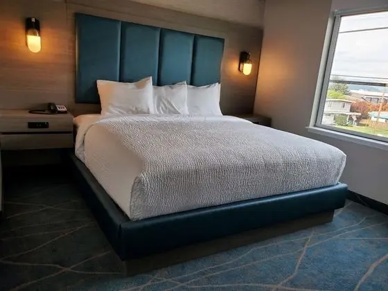 Exclusive Oda (Salish Grand Suite)