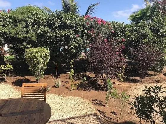 Apartment, 1 Bedroom Ground Floor Adjacent to pool