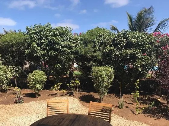 Apartment, 1 Bedroom Ground Floor Adjacent to pool