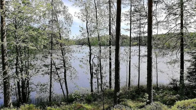 Traditional Villa, 2 Yatak Odası
